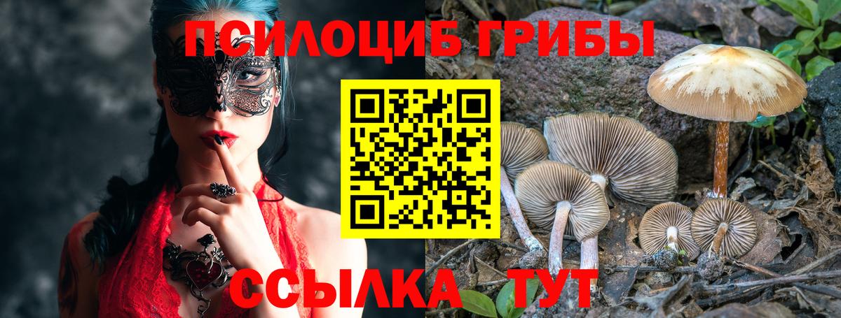 Йошкар-Ола  Псилоцибиновые грибы прущие грибы  Галлюциногенные грибы Cubensis  Вход с VPN 