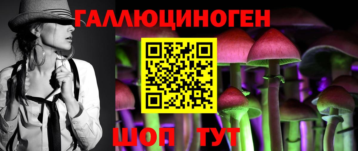 Псилоцибиновые грибы Psilocybine cubensis Йошкар-Ола